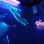 ヒメ日記 2025/09/16 18:14 投稿 神田 せな ホットアロマ