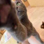 ヒメ日記 2025/10/22 13:47 投稿 かえで カワサキ EROTIC