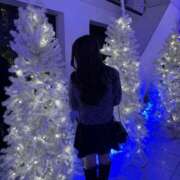 コスモス 🎄♥️ ビギナーズ神戸