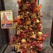 ヒメ日記 2025/10/18 17:15 投稿 ゆあ 丸妻 池袋店