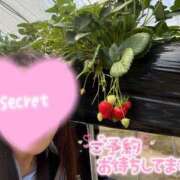 ヒメ日記 2026/06/29 22:50 投稿 ゆあ 丸妻 池袋店