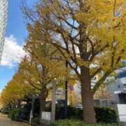 ヒメ日記 2025/12/11 13:29 投稿 前田みおん 全裸革命orおもいっきり痴漢電車