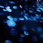 ヒメ日記 2026/01/16 10:51 投稿 みゆ エンジェルマスカット