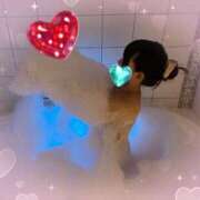 ヒメ日記 2025/09/26 16:04 投稿 ありす Lady Agent