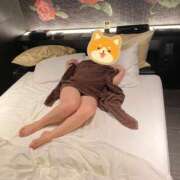 ヒメ日記 2025/10/01 17:07 投稿 ありす Lady Agent