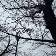 ヒメ日記 2026/03/27 22:32 投稿 須藤えみり MIRAI TOKYO 六本木店