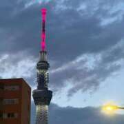 ヒメ日記 2026/07/05 10:55 投稿 須藤えみり MIRAI TOKYO 六本木店