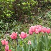 ヒメ日記 2026/04/15 20:33 投稿 須藤えみり MIRAI TOKYO 新宿店