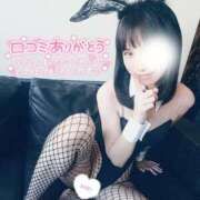 ヒメ日記 2025/10/11 20:18 投稿 みおん チューリップ福井本館