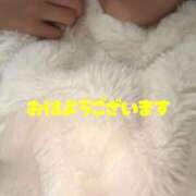 ヒメ日記 2025/11/05 07:40 投稿 くるみ ぐっすり山田　大阪店