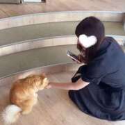 ヒメ日記 2025/10/14 11:00 投稿 木之下ことこ 五反田オナクラ ちくキュンっ!学園