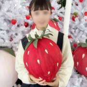 ヒメ日記 2026/02/05 12:15 投稿 木之下ことこ 五反田オナクラ ちくキュンっ!学園