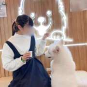 ヒメ日記 2026/02/19 11:00 投稿 木之下ことこ 五反田オナクラ ちくキュンっ!学園