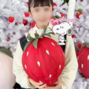 ヒメ日記 2026/02/24 11:00 投稿 木之下ことこ 五反田オナクラ ちくキュンっ!学園