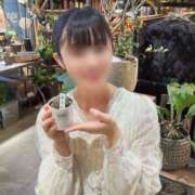 ヒメ日記 2026/04/12 11:00 投稿 木之下ことこ 五反田オナクラ ちくキュンっ!学園