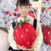 ヒメ日記 2026/04/28 17:15 投稿 木之下ことこ 五反田オナクラ ちくキュンっ!学園