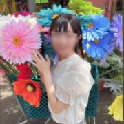 ヒメ日記 2026/07/11 17:12 投稿 木之下ことこ 五反田オナクラ ちくキュンっ!学園