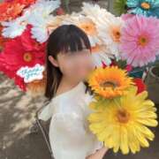 ヒメ日記 2026/07/13 21:00 投稿 木之下ことこ 五反田オナクラ ちくキュンっ!学園