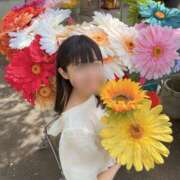 ヒメ日記 2026/08/08 13:00 投稿 木之下ことこ 五反田オナクラ ちくキュンっ!学園