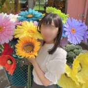 ヒメ日記 2026/08/17 11:00 投稿 木之下ことこ 五反田オナクラ ちくキュンっ!学園