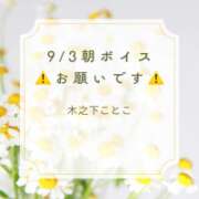 ヒメ日記 2026/09/03 07:30 投稿 木之下ことこ 五反田オナクラ ちくキュンっ!学園