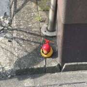 くらげ 🐥🐥🐥 吉原アクアパレス