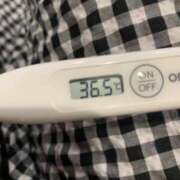 セナ(奥方) ８月最終日🌻 奥様幕府