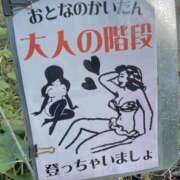 ヒメ日記 2025/08/14 20:34 投稿 みほ #舐め犬　大宮店