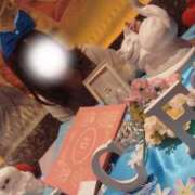 ヒメ日記 2025/10/09 17:00 投稿 みほ #舐め犬　大宮店