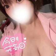 ヒメ日記 2025/09/04 21:04 投稿 ゆうひ【Hカップは宝！】 ソープランド看護学院ディエックス