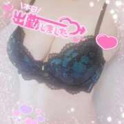 ヒメ日記 2025/09/06 10:44 投稿 ゆめ 池袋おかあさん