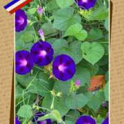 ヒメ日記 2025/10/08 08:54 投稿 ゆめ 池袋おかあさん