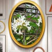 ヒメ日記 2025/10/18 13:54 投稿 ゆめ 池袋おかあさん