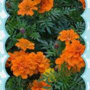 ヒメ日記 2025/10/29 08:44 投稿 ゆめ 池袋おかあさん