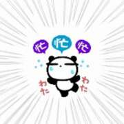 ヒメ日記 2025/11/05 17:44 投稿 ゆめ 池袋おかあさん