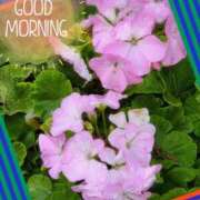 ヒメ日記 2025/11/08 10:50 投稿 ゆめ 池袋おかあさん