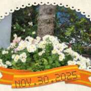 ヒメ日記 2025/11/30 17:04 投稿 ゆめ 池袋おかあさん