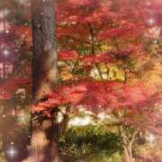 ヒメ日記 2025/12/02 15:54 投稿 ゆめ 池袋おかあさん