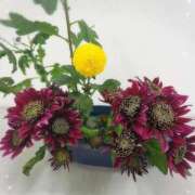 ヒメ日記 2025/12/16 13:24 投稿 ゆめ 池袋おかあさん