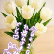 ヒメ日記 2026/02/09 17:24 投稿 ゆめ 池袋おかあさん