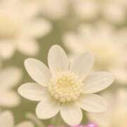 ヒメ日記 2026/02/23 19:14 投稿 ゆめ 池袋おかあさん