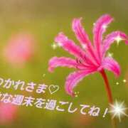 ヒメ日記 2026/02/27 21:08 投稿 ゆめ 池袋おかあさん