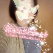 ヒメ日記 2026/02/28 11:12 投稿 ゆめ 池袋おかあさん