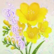 ヒメ日記 2026/02/28 21:44 投稿 ゆめ 池袋おかあさん