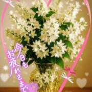 ヒメ日記 2026/03/02 20:27 投稿 ゆめ 池袋おかあさん