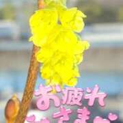 ヒメ日記 2026/03/04 17:34 投稿 ゆめ 池袋おかあさん