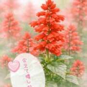 ヒメ日記 2026/03/08 17:54 投稿 ゆめ 池袋おかあさん