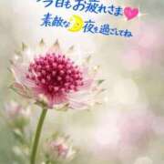 ヒメ日記 2026/03/19 20:54 投稿 ゆめ 池袋おかあさん