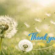 ヒメ日記 2026/03/22 18:44 投稿 ゆめ 池袋おかあさん