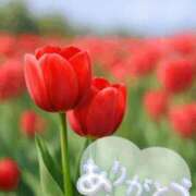 ヒメ日記 2026/03/28 21:54 投稿 ゆめ 池袋おかあさん